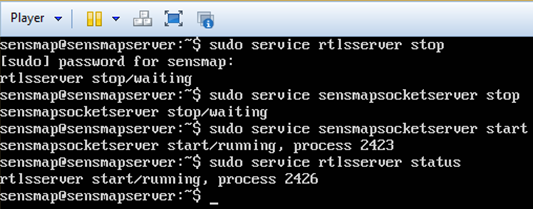 RTLS_server_status_restarting_vmware